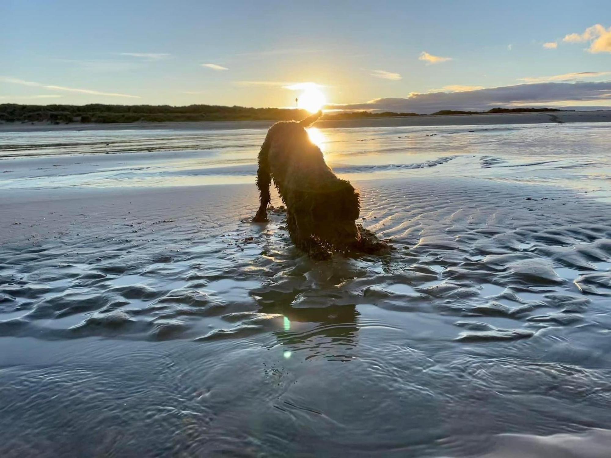 Heron 41, Scratby - California Cliffs, Parkdean, Sleeps 6, Pet Friendly, Bed Linen And Towels Included - Close To The Beach Exteriör bild